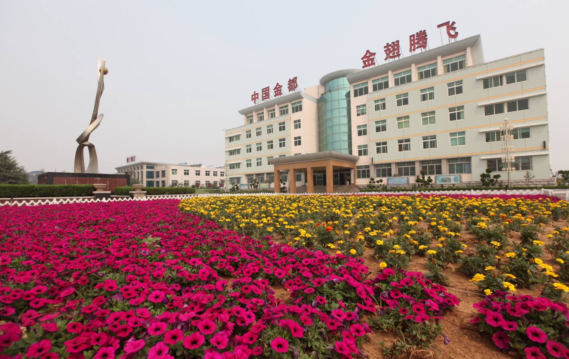 17397989339850500981920_1212