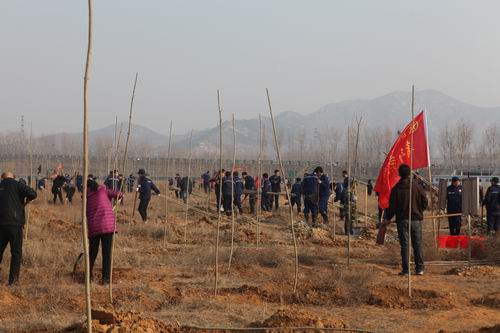 5620816b95cf45b4bb9628f8cc4e69fd