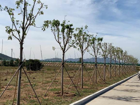 d8037722012646e28d0158a9d46be13b